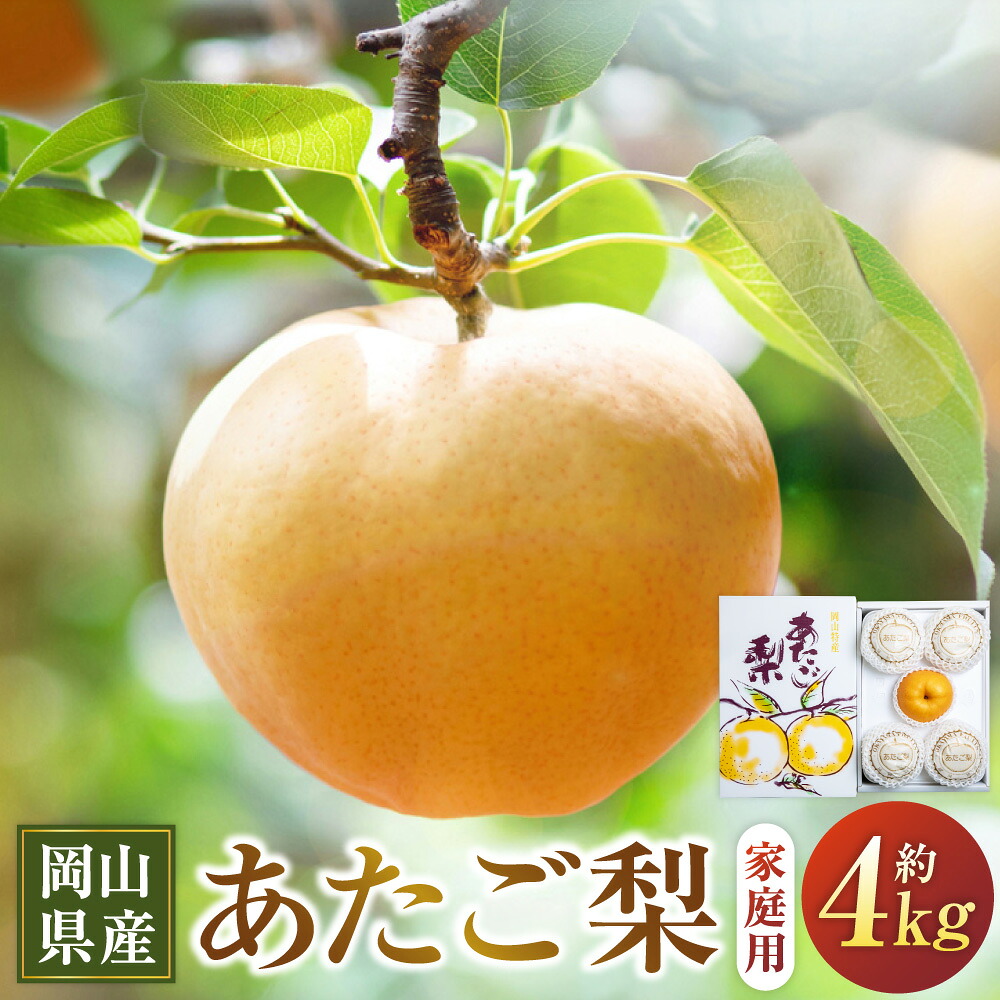 【ふるさと納税】あたご梨 約4kg 3～9玉 家庭用 愛宕梨 なし ナシ フルーツ くだもの 果物 果実 岡山県産 岡山県 美咲町 送料無料 【2026年11月下旬～12月下旬発送予定】