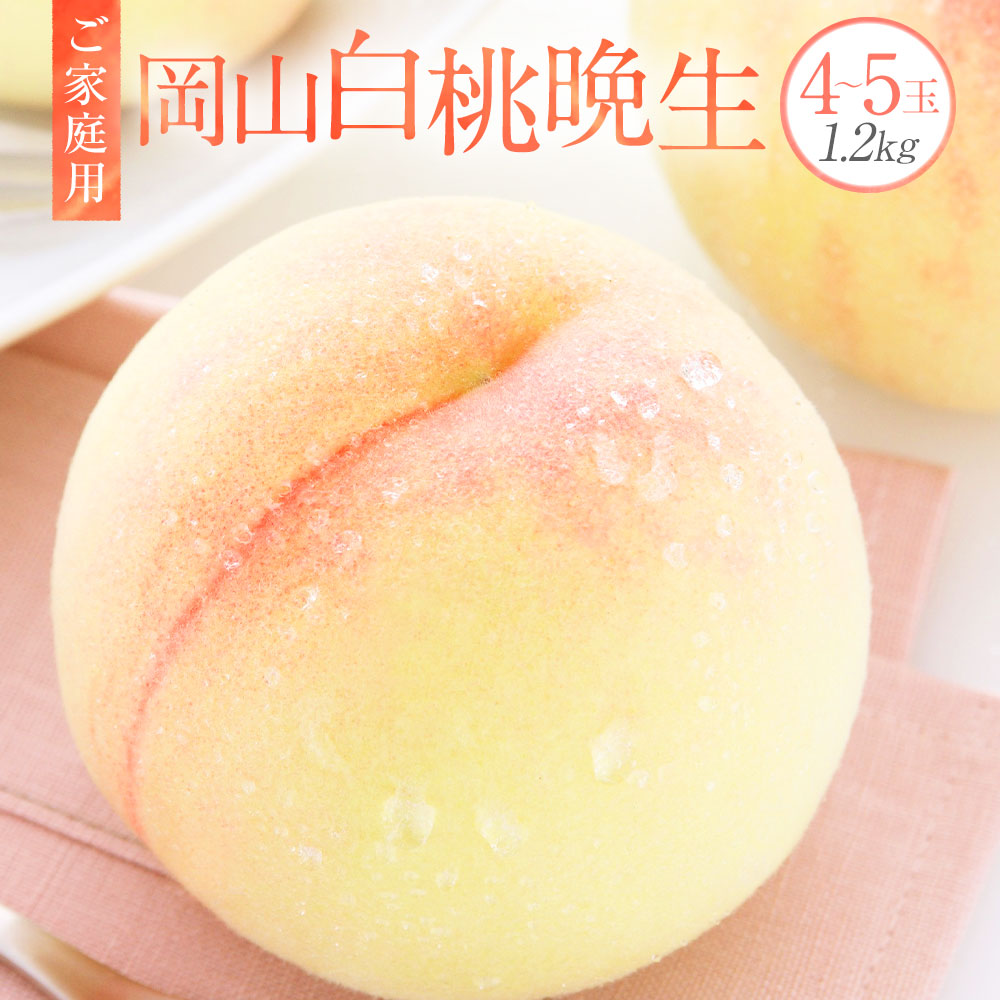 【ふるさと納税】【ご家庭用】岡山白桃 晩生 4~5玉 約1.2kg 白桃 桃 もも モモ 果物 くだもの フルーツ おやつ デザート 冷蔵 岡山県産 岡山県 美咲町 送料無料【2026年8月下旬発送予定】|岡山県美咲町
