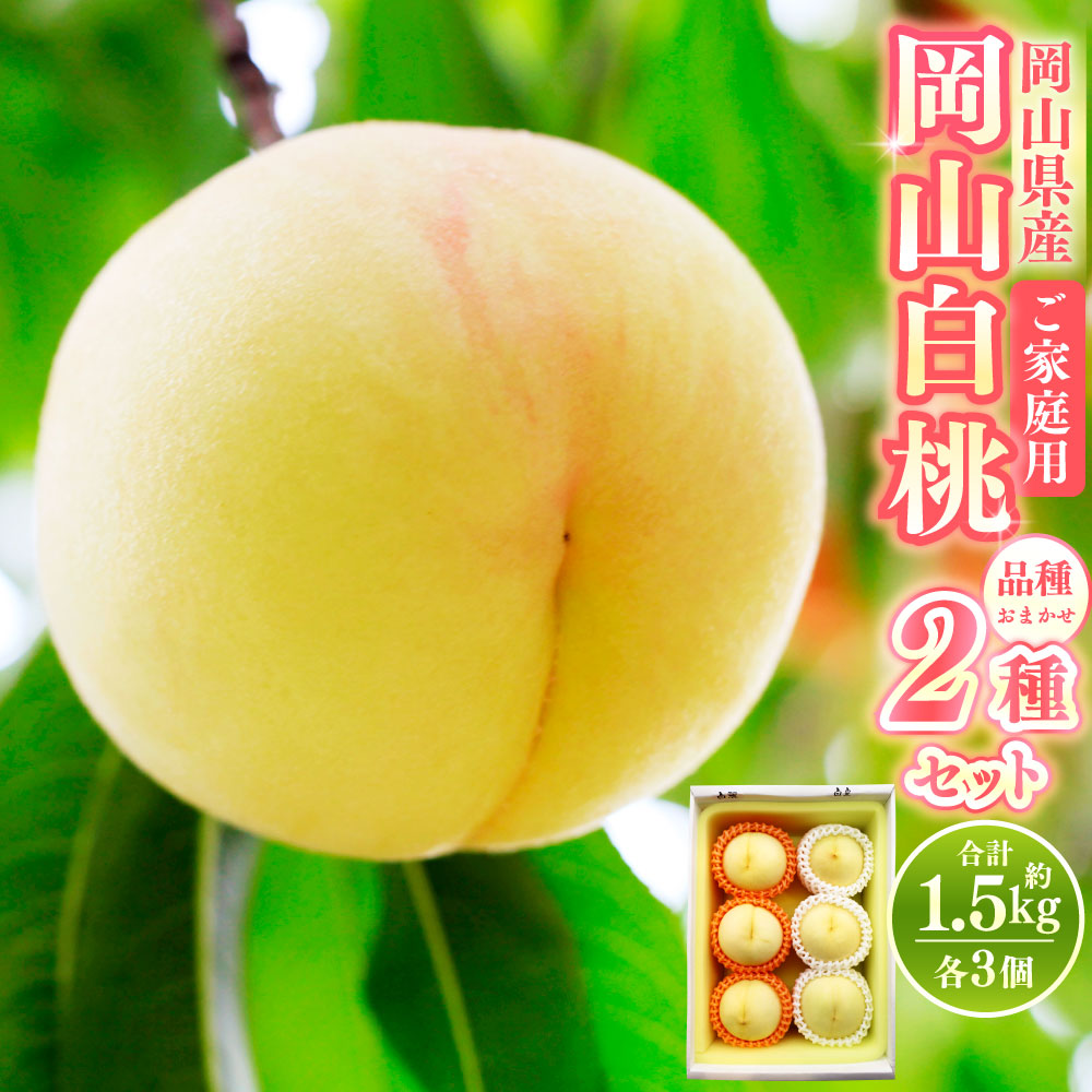 【ふるさと納税】【 ご家庭 用 】 岡山 白桃 2種6玉 1.5kg 【 2026年7月上旬から8月下旬頃発送予定 】 果物 くだもの フルーツ もも 桃 甘い 香り 柔らかい ジューシー 美味しい 岡山県 美咲町 送料無料｜岡山県美咲町