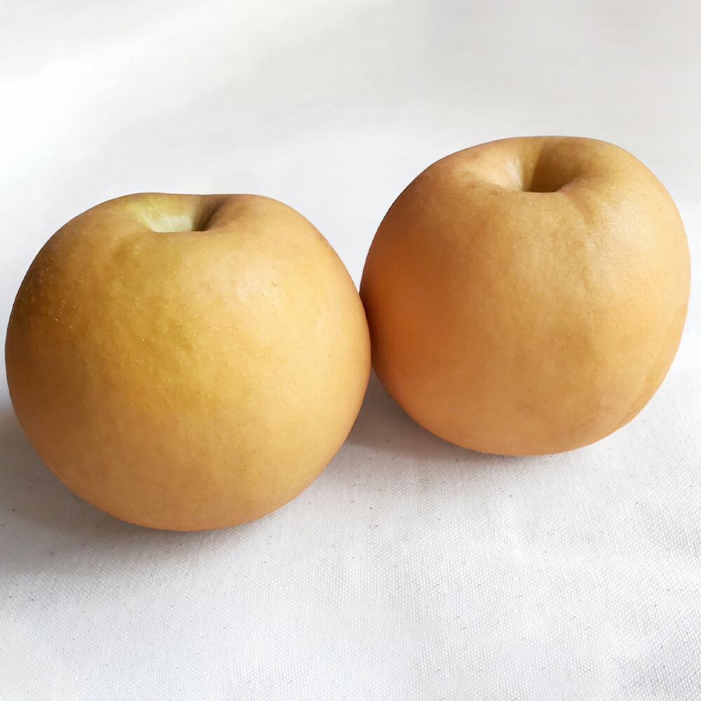 【ふるさと納税】あたご梨〈選べる 容量〉約1.8kg(2玉) / 約4kg(3～6玉) 梨 和梨 なし ナシ 果物 フルーツ デザート おやつ お取り寄せ 岡山県産 送料無料【2025年11月下旬～12月下旬迄発送予定】