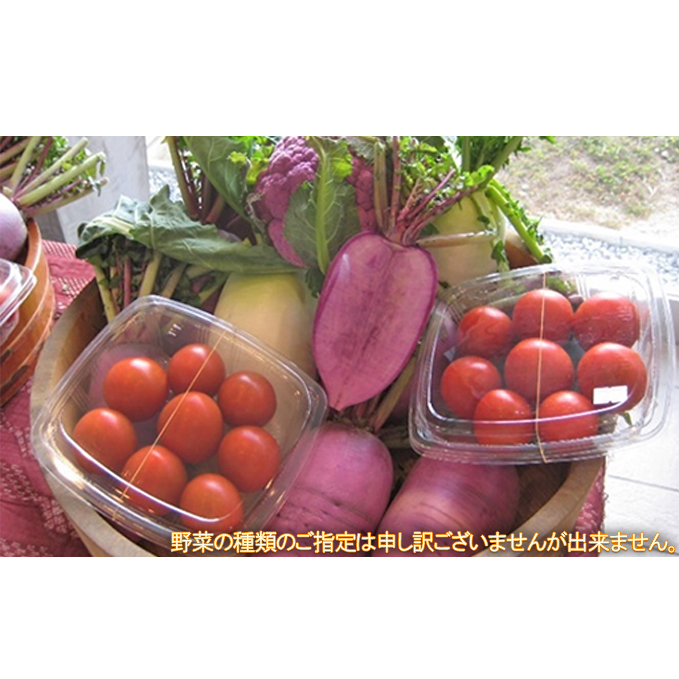 楽天市場 ふるさと納税 くらはし野菜の王国 あくまトマト フルーツトマト とこだわり野菜セットー 2 セット 詰合せ トマト 野菜 野菜セット お届け 22年2月上旬 22年3月中旬 広島県呉市