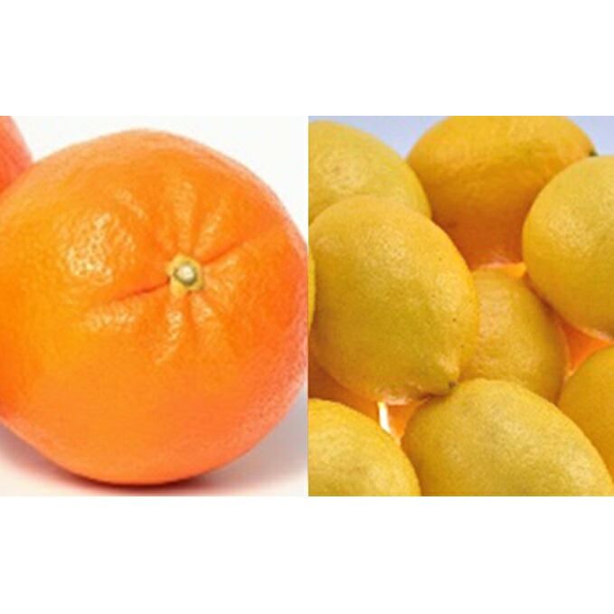 ふるさと納税 特撰年頃内お届け 上神耕園のいしじみかん 4kgとご身寄り働き檸檬8個前後 みかん フルーツ 果物種類 シトラス レモン 檸檬 お届け 21年12月影下旬 21年12月歳晩 Tharsismining Com