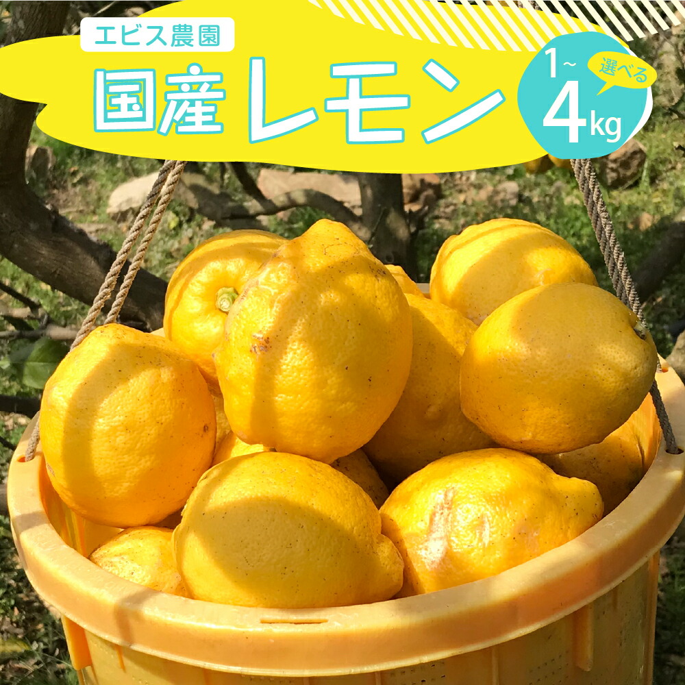 【ふるさと納税】 先行予約【栽培期間中 農薬不使用】有機JAS認証 皮まで美味しい 希少な国産オーガニックレモン 選べる 約1kg / 約2kg / 約4kg 【 2026年 11月上旬~発送】 レモン lemon フルーツ 果物 柑橘 産地直送 12月初旬までグリーンレモン お試し 国産 広島県 呉市|広島県呉市