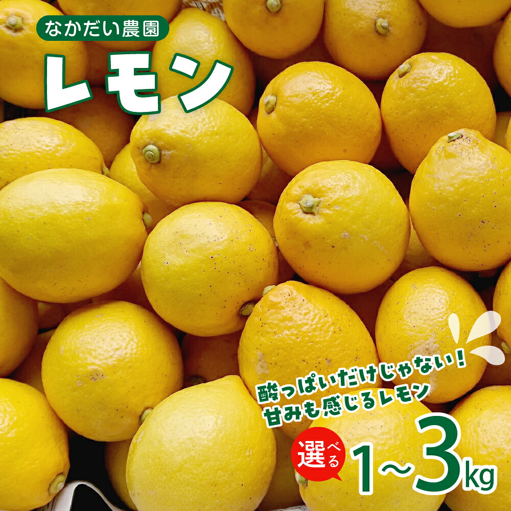 【ふるさと納税】栽培期間中農薬不使用「レモン」約 1kg / 約 3kg / 内容量が選べる レモン れもん 檸檬 特別栽培 皮まで安心 瀬戸内 産地直送 お取り寄せグルメ 送料無料 特別栽培農産物 お試し 広島県 呉市