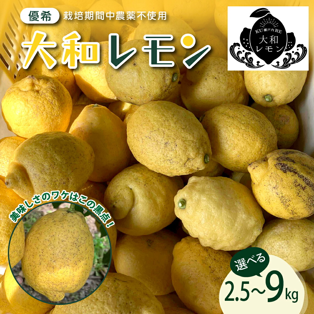 【ふるさと納税】先行予約 大和レモン 選べる内容量 栽培期間中 農薬不使用 2.5kg / 4.5kg / 9kg 【2025年10月中旬～発送】新鮮 発送日に収穫 檸檬 レモン 果物 くだもの フルーツ 柑橘 産地直送送料無料 数量限定 大容量 広島県 呉市