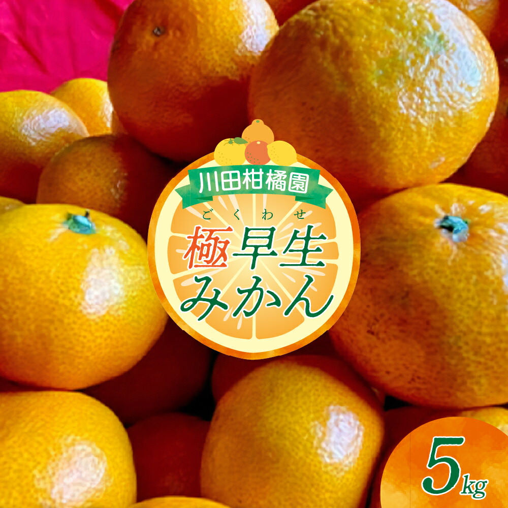 【ふるさと納税】 先行予約 川田柑橘園 呉市 大長産 「 極早生 みかん 」5kg 【 2026年 10月上旬～発送】 ミカン 蜜柑 温州みかん フルーツ 果物 柑橘 さわやか 甘味 コク 酸味 ジューシー 果汁 甘い 果実 瀬戸内海 お取り寄せ 国産 国内産 送料無料 広島県 呉市｜広島県呉市 8,580円