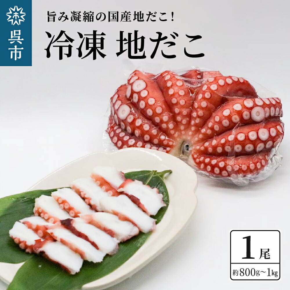【ふるさと納税】冷凍 国産 地だこ 1尾 (約 800g ～ 1kg )<br><br>国産たこ タコ 肉厚 正月 刺身 酢の物 唐揚げ たこ焼き  炒め物 広島県 呉市