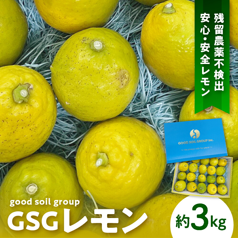 【ふるさと納税】【限定100セット】先行予約 GSGレモン ～残留農薬不検出～ 約 3kg 【2025年12月上旬～発送】檸檬 レモン 果物 柑橘 フルーツ 生産量日本一の広島 産地直送 送料無料 お取り寄せグルメ 数量限定 先行受付 広島県 呉市 21,000円