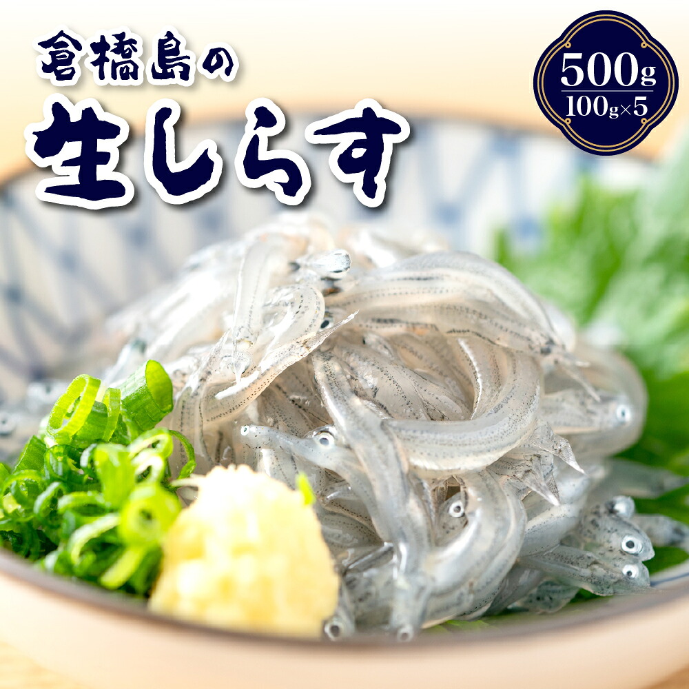 【ふるさと納税】 生シラス 500g ( 100g × 5個 ) 新鮮 今が旬 生しらす しらす 小分け 瞬間冷凍 国産 KICHIAMI 瀬戸内 産地直送 送料無料 お取り寄せ 魚介 魚介類 小魚 ブランド魚 海鮮 海産物 広島県 呉市 石野水産|広島県呉市