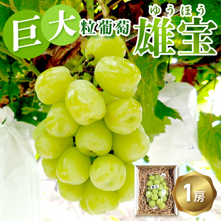 【ふるさと納税】古田大果園 巨大粒ぶどう 雄宝（ゆうほう） 旬のぶどう 1房 フルーツ ぶどう ブドウ 葡萄 果物 広島県産　※2025年8月下旬～9月下旬頃に順次発送予定　※離島への配送不可