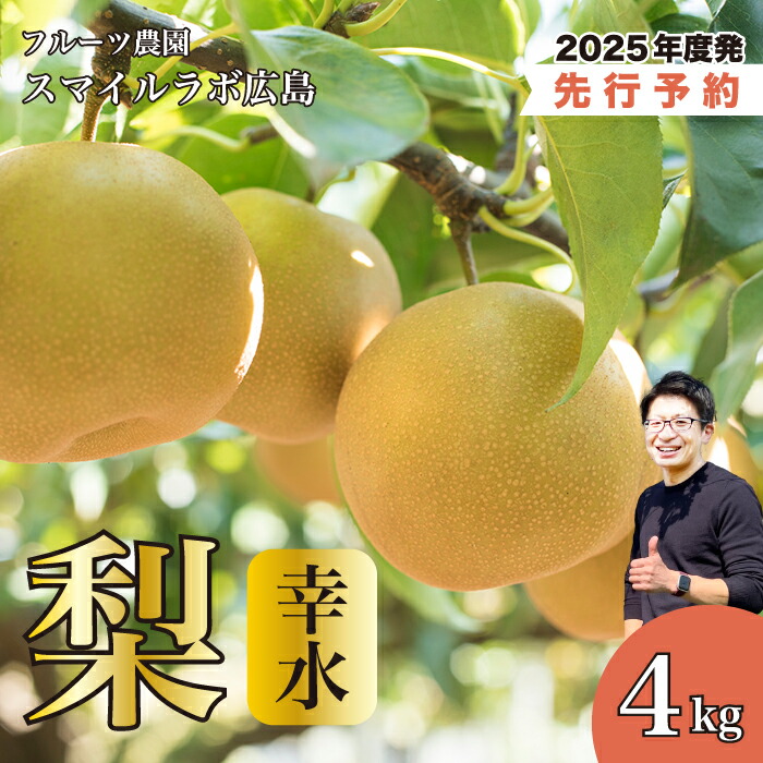 【ふるさと納税】【先行受付】幸水（こうすい）4kg 梨 ナシ なし 新鮮 産地直送 広島県三原市 【2025年8月中旬以降順次発送】059009