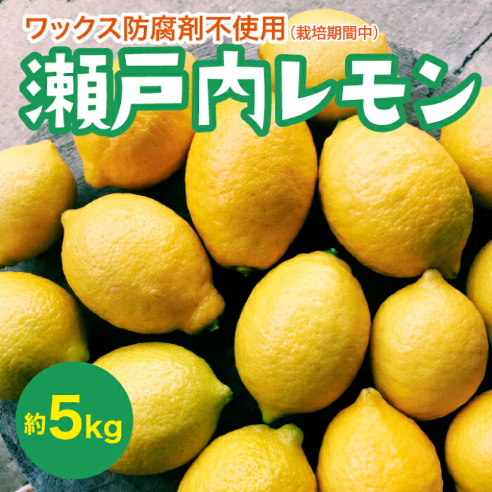 【ふるさと納税】瀬戸内 レモン 約5kg【栽培期間中防腐剤ワックス不使用】【先行受付】【2025年12月以降発送】レモン 国産 佐木島 三原 広島 フルーツ 果物 柑橘 柑橘類 檸檬 017031