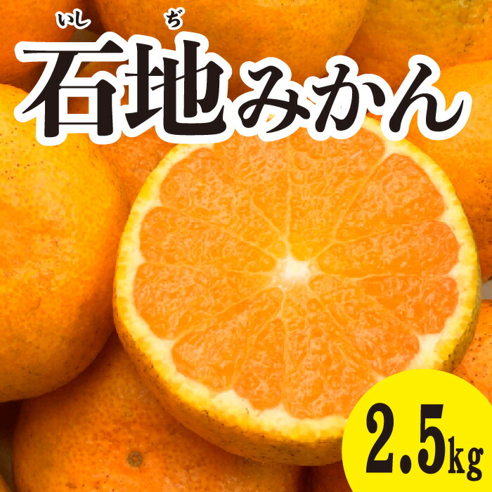 楽天市場】【ふるさと納税】みかん 柑橘【先行受付】【2025年12月以降