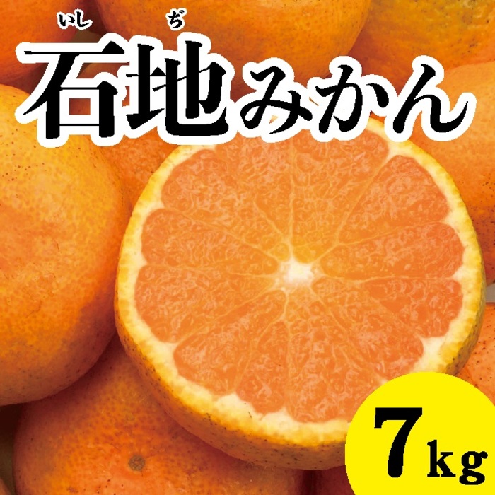 金太洋 パインみかん 缶詰 210g ｜ ミスターマックスオンライン