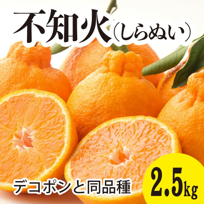 楽天市場】【ふるさと納税】みかん 柑橘【先行受付】【2026年3月以降