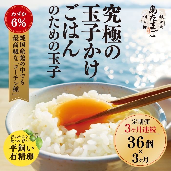 【ふるさと納税】【3ヶ月 定期便】 瀬戸内柑太郎 『島たまご』平飼い有精卵 36個(34個＋割れ補償2個) 平飼い 純国産鶏 コーチン種 卵 たまご 佐木島 三原 広島 3回 017033