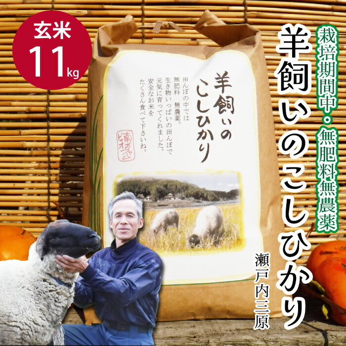 【ふるさと納税】【栽培期間中・無肥料無農薬】瀬戸内三原 羊飼いのこしひかり 玄米11kg 2025年9月上旬発送予定 瀬戸内ビオファーム お米 こめ ご飯 002011