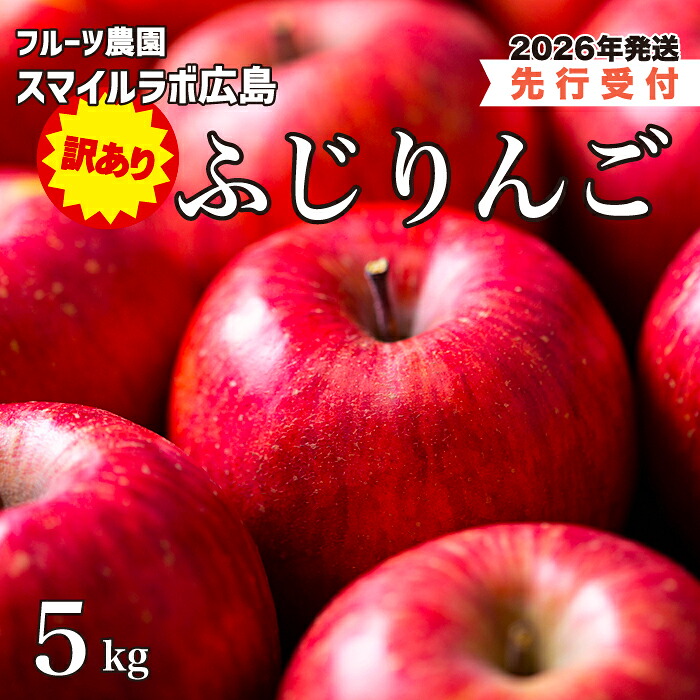 【ふるさと納税】【先行受付】＜訳あり＞ ふじりんご5kg 2026年11月下旬頃～順次発送予定 フルーツ 果物 りんご リンゴ 林檎 新鮮 傷あり 産地直送 広島県三原市 059011