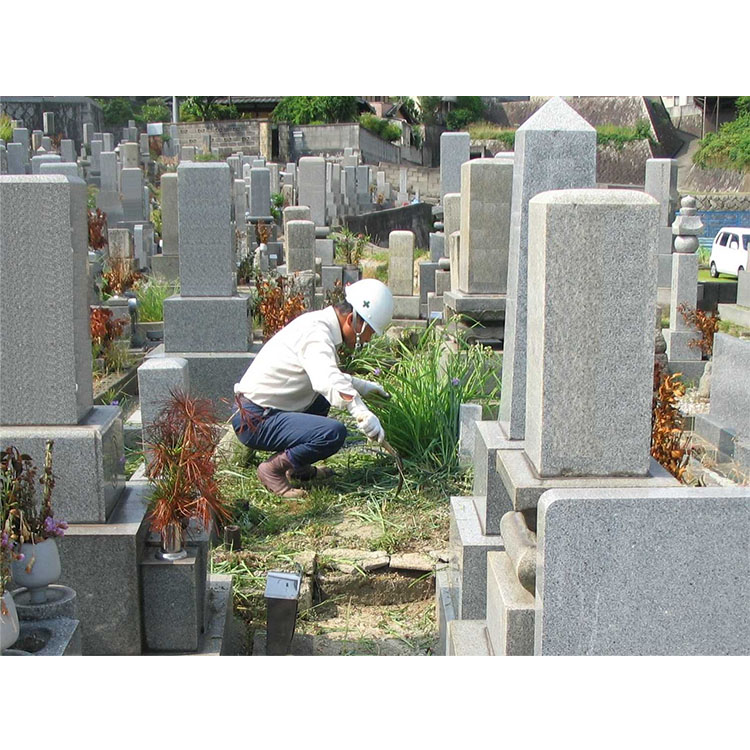 【ふるさと納税】墓掃除 Cプラン | 代行 墓掃除 清掃 除草 供花|広島県尾道市