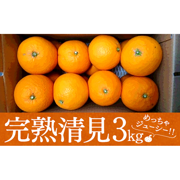 楽天市場】【ふるさと納税】濃厚・ジューシー！ハウス栽培せとか 約