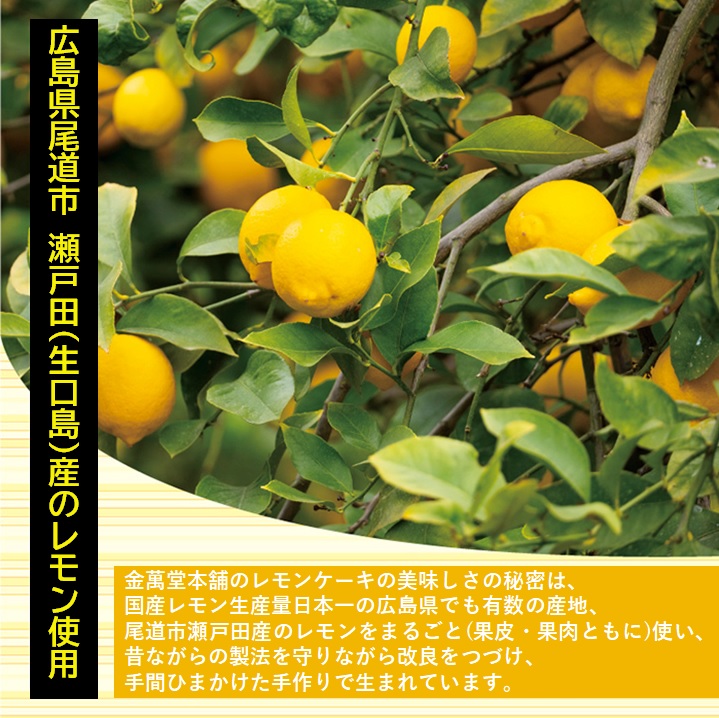 ふるさと納税 瀬戸田レモン洋甘味remoremo 15個セッティング 広島県尾道市庭 広島県 尾道市 広島 尾道 ふるさと 納税 見次ぐ レモンケーキ レモン 瀬戸田 焼き菓子 洋菓子 スイーツ お菓子 お取り寄せ 取り寄せ お取り寄せスイーツ 名産 特産 名産項目 特産品 Cannes