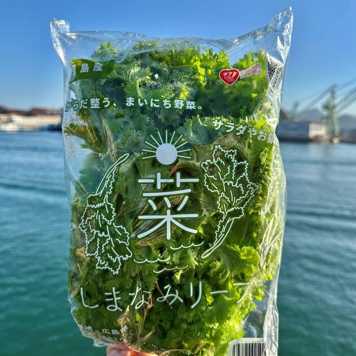 【ふるさと納税】しまなみリーフ8袋　（1袋140ｇＸ8袋）2026年11月下旬から発送 | 野菜 サラダ 無農薬 やさい 食品 人気 おすすめ 送料無料 尾道 因島