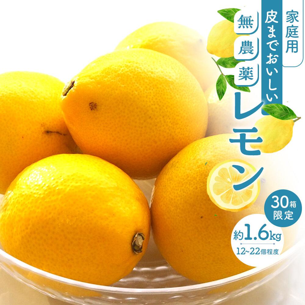 【ふるさと納税】【30箱限定】皮まで美味しい無農薬レモン 家庭用 1.6kg | 瀬戸田 瀬戸田レモン 檸檬 瀬戸内レモン フルーツ 柑橘 シトラス 無農薬 有機肥料 防腐剤不使用 レモネード はちみつ 尾道市 広島