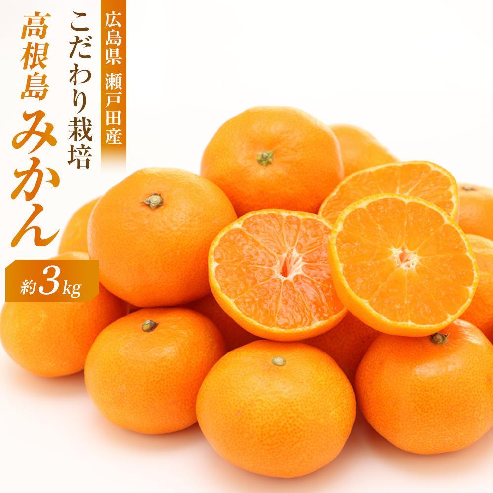 3国産瀬戸田レモン10kg前後 瀬戸田レモン3kg ＜2025年11月上旬より発送開始＞【レモン
