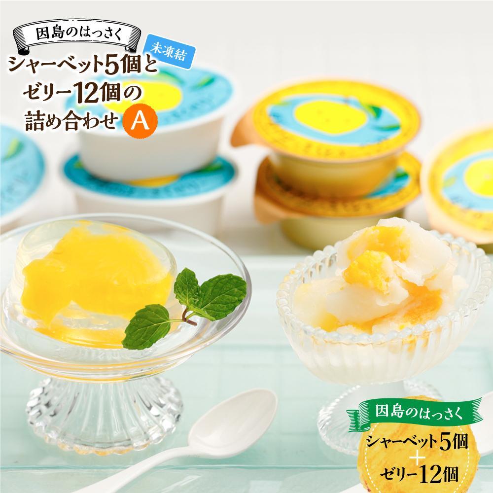 【海からの贈り物】軽石(特大) あわジオフェスティバル2024】淡路島国営明石海峡公園で恐竜