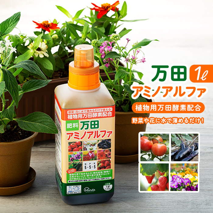 【ふるさと納税】万田アミノアルファ 1L | 肥やし 草木 エンザイム 万田エンザイム 万田発酵  草片 まんだこうそ 貨物輸送無料 おすすめ 一般受け 広島県 尾道市