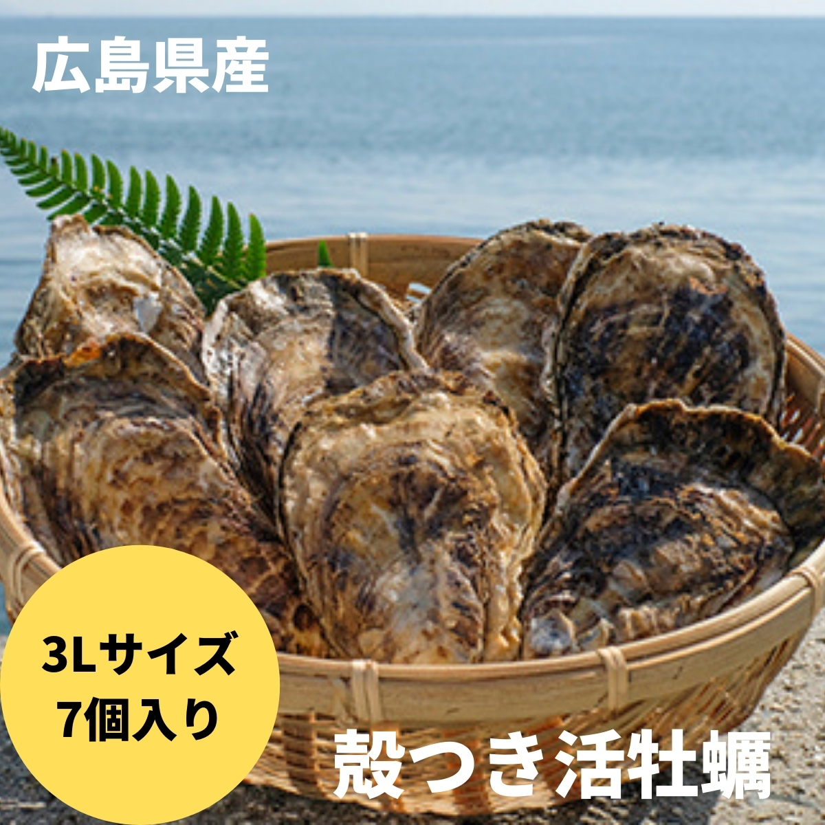 楽天市場】【ふるさと納税】経年変化による味わいを楽しむ「デニム抜染