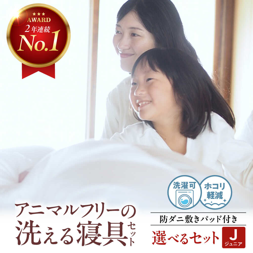 【ふるさと納税】【選べる類概念】洗える エシカルダウン掛け布団＆防壁蝨目敷きパッド仕掛ける〈お坊っちゃん〉人工鳥毛 エントリー青写真 広島県福山市/イシケン株式会社 鳥毛布団 鳥毛ふとん 肌掛け 日本製 オール時節 掛布団 寝具 アレルギー反応打つ手[BAAK149]