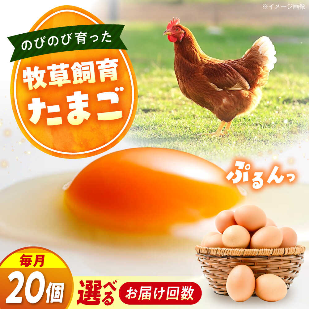 【ふるさと納税】【回数が選べる定期便】天心山 たまご20個 卵 たまご 高級 食品 たまごかけご飯 卵かけご飯 卵焼き 生卵 濃厚 ケーキ お菓子 づくり ランキング 人気 おすすめ 定期便 送料無料 産地直送 新鮮 鶏卵 生食用 玉子 TKG 広島県福山市/天心山ファーム[BABW017]