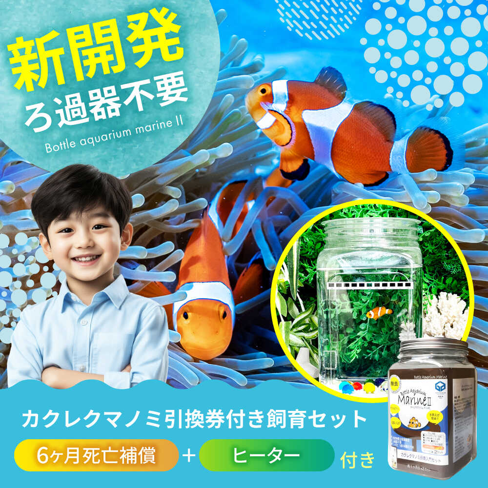 キイロイトリ　アクアリウム　クマノミ飼育セット　限定品　新品　未使用 楽天市場】【ふるさと納税】水槽 カクレクマノミ飼育セット（1