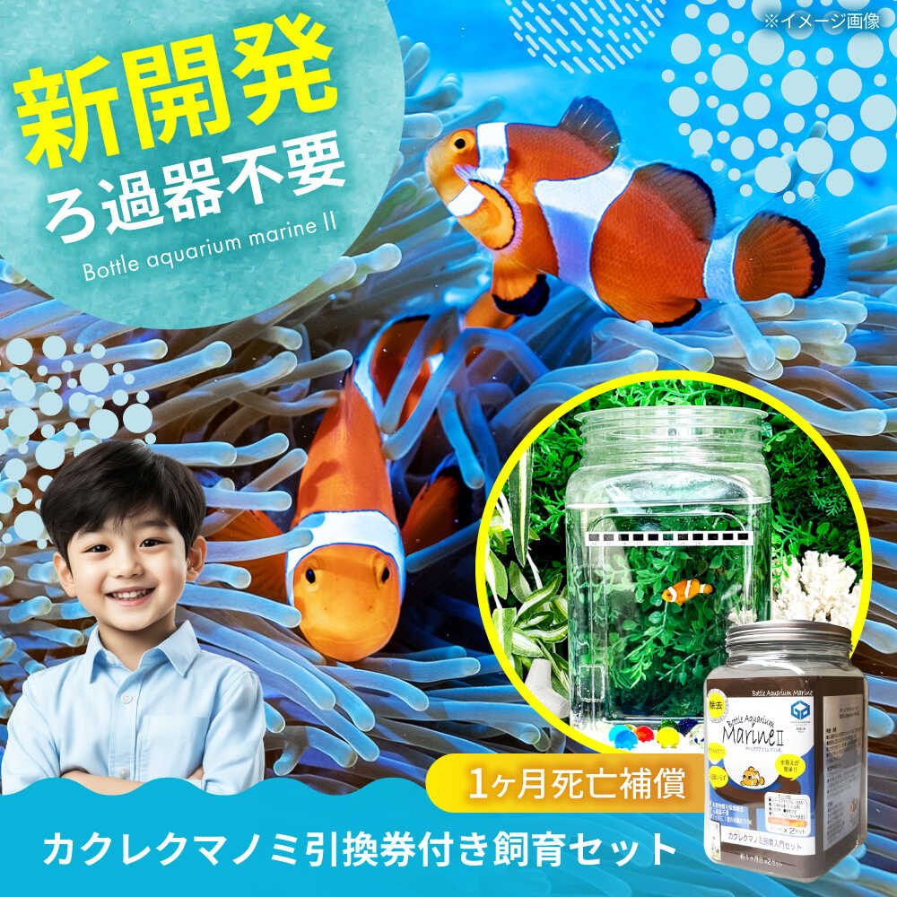 【ふるさと納税】海洋博物館 カクレクマノミ繁殖書き割り（1ヶ月御隠れになる埋合わせる付き添い人）ボトルアクアリウムマリン2 海洋博物館 魚 大まか修める 愛玩動物 褒めたたえる魚 安全性のあるな人工塩水 おすすめ 一般受け 未経験者 飾り気の無い 癒し 夏休み 毛の荒物付き添い人 貨物輸送無料 広島県福山市/株式会社お水応用科学[BACD003]