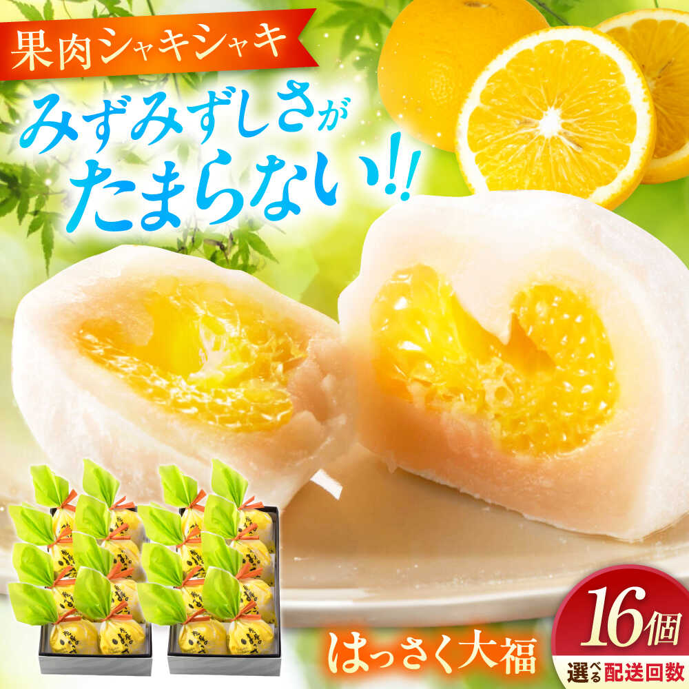 【ふるさと納税】【選べるお届け回数】お菓子 はっさく大福 8個入&times;2　 お菓子 大福 八朔 柑橘 みかん オレンジ はっさく 餅 ギフト お取り寄せ スイーツ フルーツ大福 ご当地 菓子 おかし デザート 食品 福山市/株式会社虎屋本舗[BADH025]｜広島県福山市
