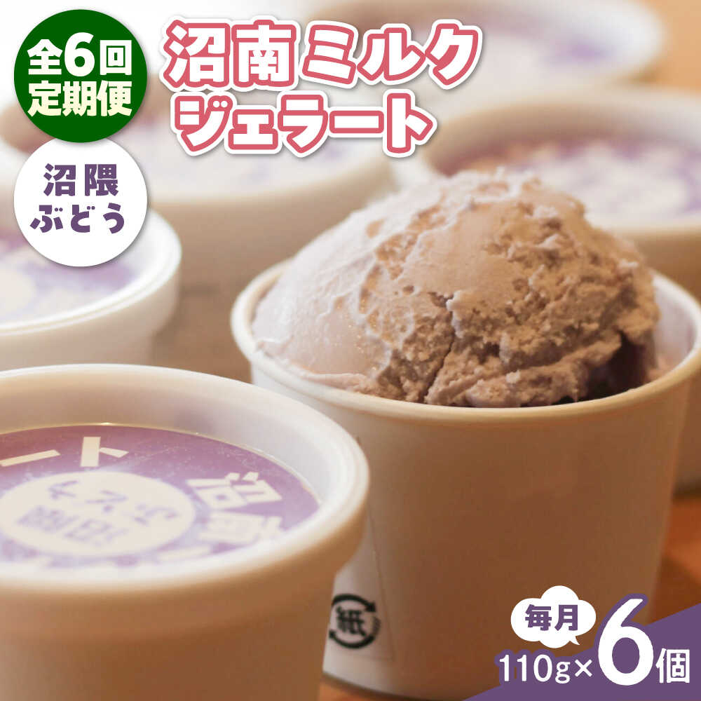 【ふるさと納税】【全6回定期便】沼南ミルクジェラート 沼隈ぶどう ６個 アイス ぶどう アイス アイスクリーム デザート スイーツ ご当地 おすすめ 人気 ひんやりスイーツ お取り寄せグルメ 詰め合わせ セット ギフト 贈り物 定期便 広島県福山市/甚ごろう[BAEC043]｜広島県福山市