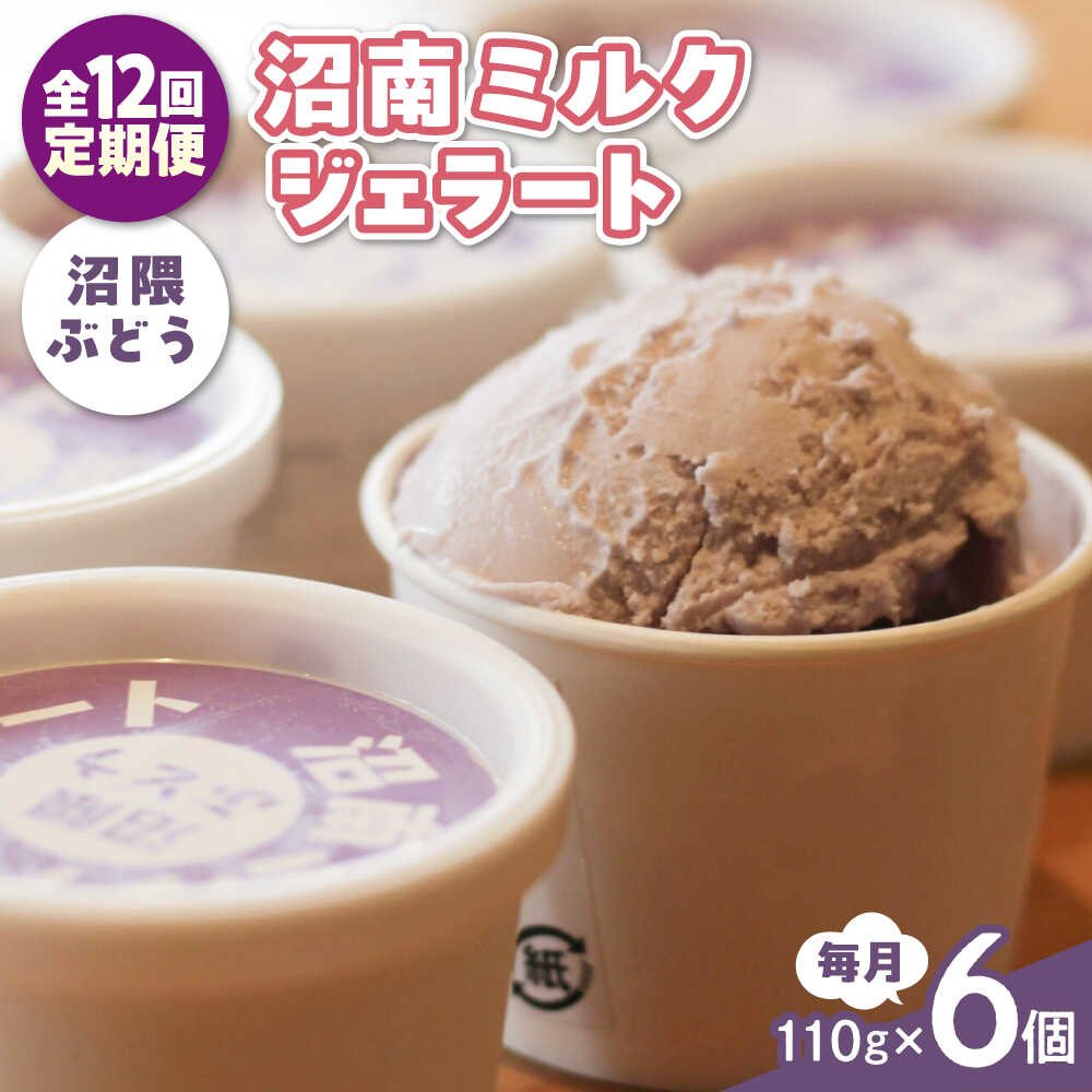 【ふるさと納税】【全12回定期便】沼南ミルクジェラート 沼隈ぶどう ６個 アイス ぶどう アイス アイスクリーム デザート スイーツ ご当地 おすすめ 人気 ひんやりスイーツ お取り寄せグルメ 詰め合わせ セット ギフト 贈り物 定期便 広島県福山市/甚ごろう[BAEC044]