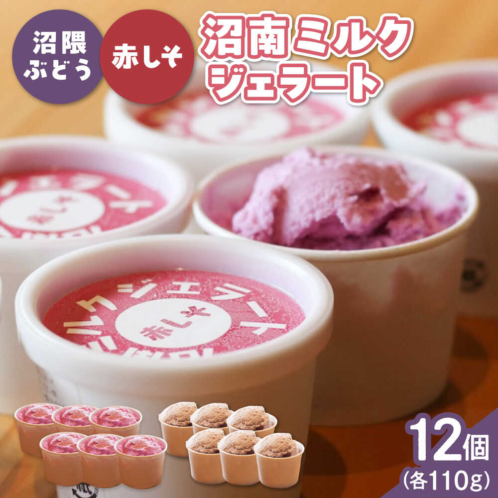 【ふるさと納税】沼南ミルクジェラート 沼隈ぶどう＆赤しそ 各6個 食べ比べセット アイス ぶどう 赤しそ アイスクリーム デザート スイーツ ご当地 おすすめ 人気 ひんやり お取り寄せ 詰め合わせ ギフト 贈り物 フルーツ シャーベット 広島県福山市/甚ごろう[BAEC049]｜広島県福山市
