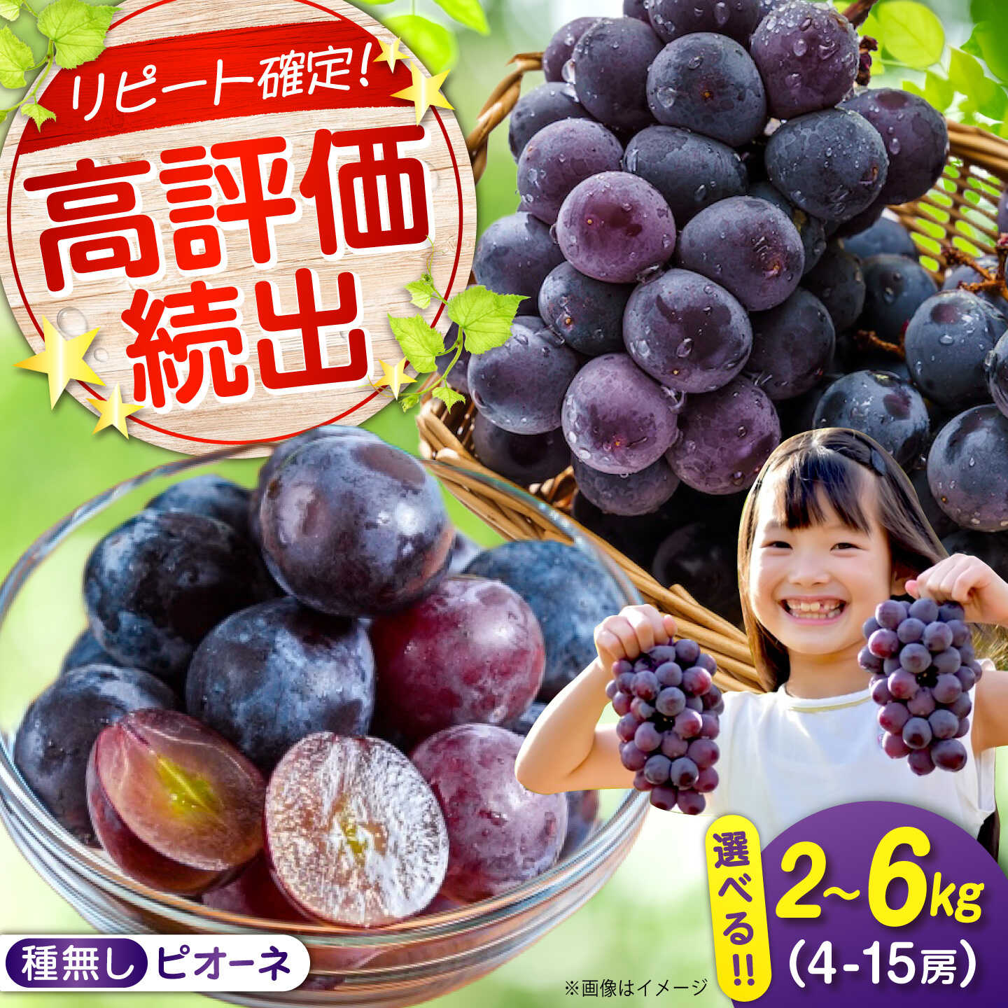 【ふるさと納税】【選べる容量】期間限定/8月下旬～9月上旬頃発送 沼隈ぶどう「ピオーネ」 約2kg 約4kg 約6kg（種なし） 広島県福山市/福山市農業協同組合　沼隈グリーンセンター ぶどう ブドウ 葡萄 種なし 大粒 ピオーネ[BAEV002]