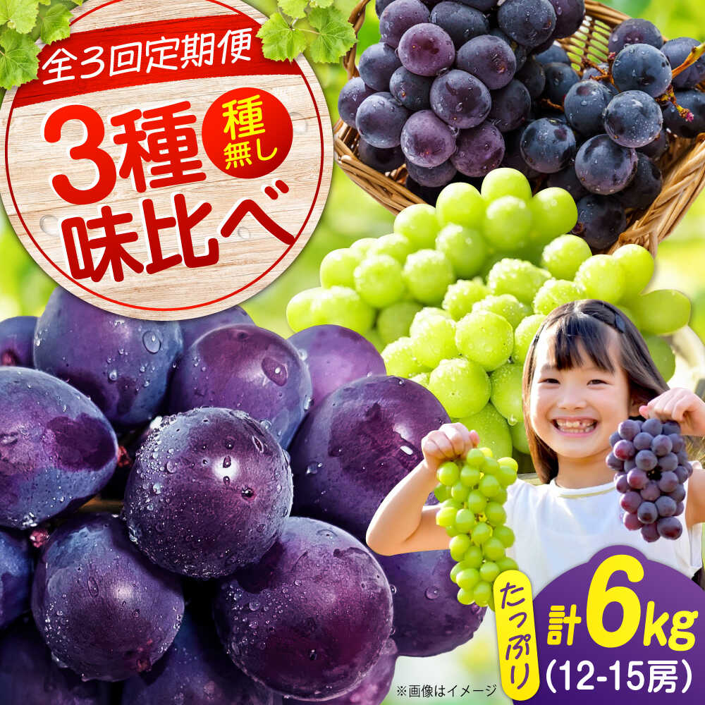 【ふるさと納税】【全3回定期便】期間限定 贅沢3種の沼隈ぶどう定期便 各2kg (ピオーネ シャインマスカット ニューベリーA) 広島県福山市/福山市農業協同組合　沼隈グリーンセンター ぶどう ブドウ 葡萄 種なし 大粒[BAEV003]