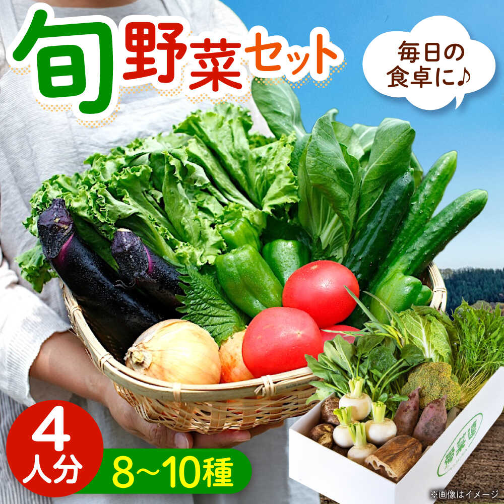 【ふるさと納税】愛菜連のおまかせ野菜パック（４人用）野菜詰合せ 旬 旬の野菜 野菜セット 産地直送 ミネラル ビタミン 豊富 おすすめ 人気 送料無料 新鮮 とれたて 季節の野菜 詰め合わせ 定期便 宅配 安心 健康 ふるさと納税 広島県福山市/マルフク株式会社[BAFW001] 8,580円
