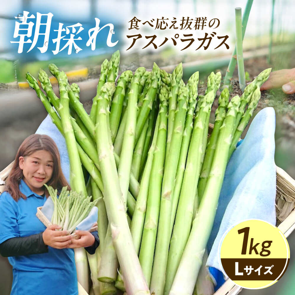 【ふるさと納税】アスパラガス 1kg 広島県福山市/稲葉ライスセンター ふるさと納税 アスパラ 1kg 令和8年産 送料無料 野菜 アスパラ ふるさと納税 アスパラガス 広島県産 産地直送[BAHB001]｜広島県福山市 9,230円