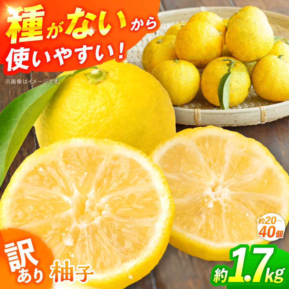 【ふるさと納税】【訳あり】【先行予約】【11月中旬から12月中旬に順次発送】 種なし柚子 約1.7kg（約20個から40個）ゆず 種無し ユズ 訳あり 家庭用 柚子 種なし 三次市/小さなくだもの畑[APAQ003]