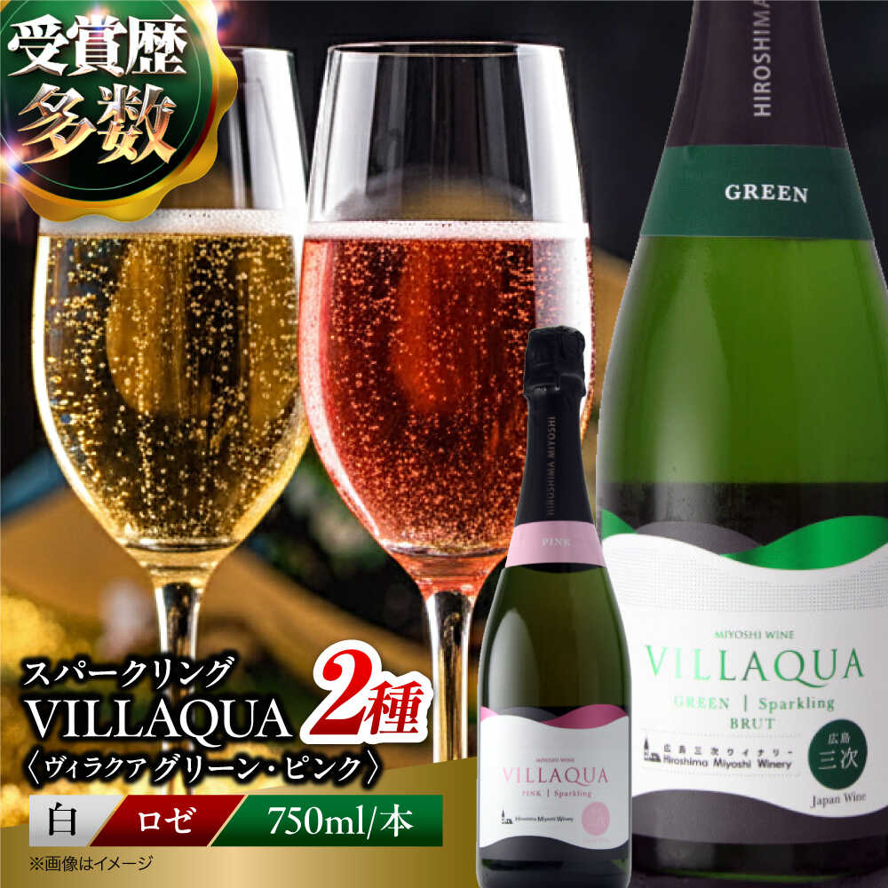 【お中元ギフト対象】【ふるさと納税】VILLAQUA グリーン・ピンク 750ml 2本セット 《スピード発送》 ワインセット セット 飲み比べ 白ワイン 白 ワイン ロゼ スパークリングワイン スパークリング 発泡性 辛口 プレゼント 酒 三次市 / 広島三次ワイナリー[APAZ156]｜広島県三次市