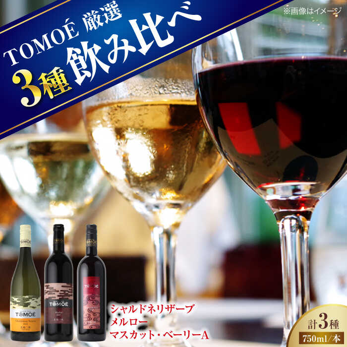 【ふるさと納税】【スピード発送】 厳選TOMOEワイン3本セット ワイン 受賞 飲み比べ ワインセット セット 日本ワイン 国産 ギフト 赤ワイン 白ワイン 赤 白 甘口 辛口 贈答 ギフト プレゼント 取り寄せ 3万円以下 酒 アルコール 三次市 / 広島三次ワイナリー[APAZ033] 21,460円