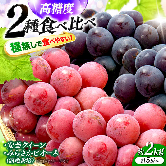 【ふるさと納税】【先行予約】【8月下旬から9月上旬に順次発送】みらさかピオーネ2房＆安芸クイーン3房 計2kg 5房入 （露地栽培） フルーツ ギフト ピオーネ ぶどう 果物 三次市/みらさかピオーネ直売所[APBE005]