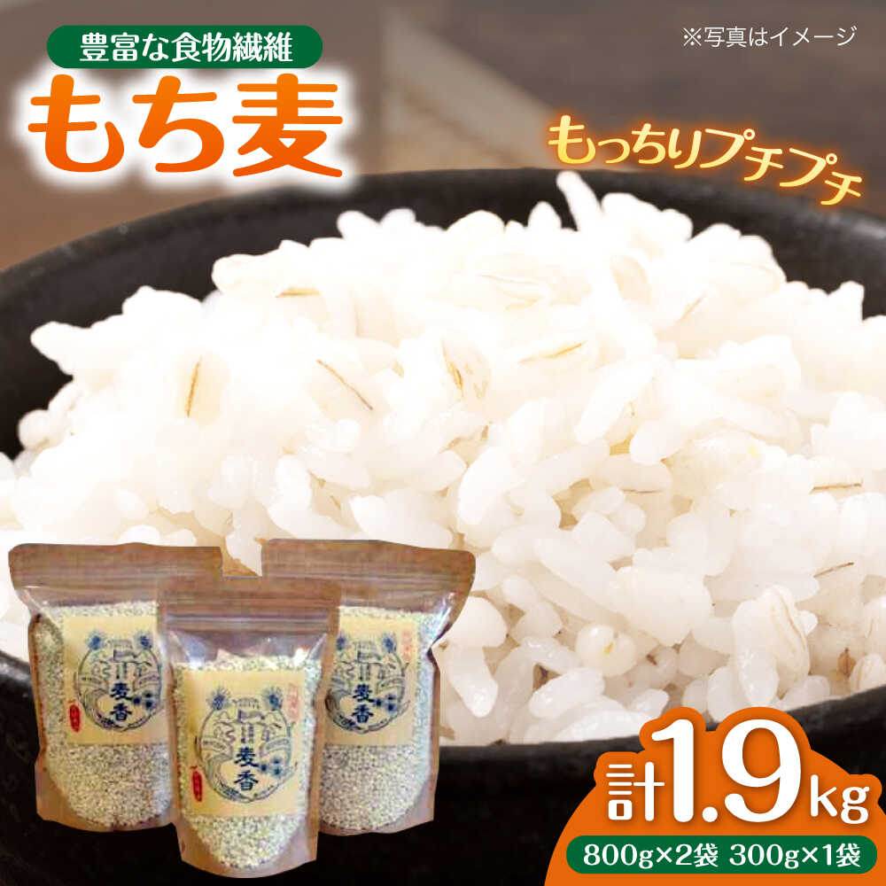 【ふるさと納税】モチモチっと美味しい君田の もち麦 ｢麦香｣ 広島県三次産 三次市/安田農産[APBP001] もち麦 餅麦 モチムギ もちむぎ 国産