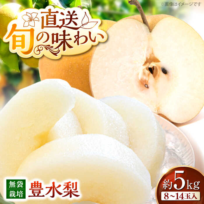 【ふるさと納税】【先行予約】【9月中旬から9月末に順次発送】高丸の梨 「豊水」 5kg（8から14玉入） | 豊水 梨 なし フルーツ 果物 ナシ 甘い デザート ランキング おいしい 三次市/高丸農園[APBU002]