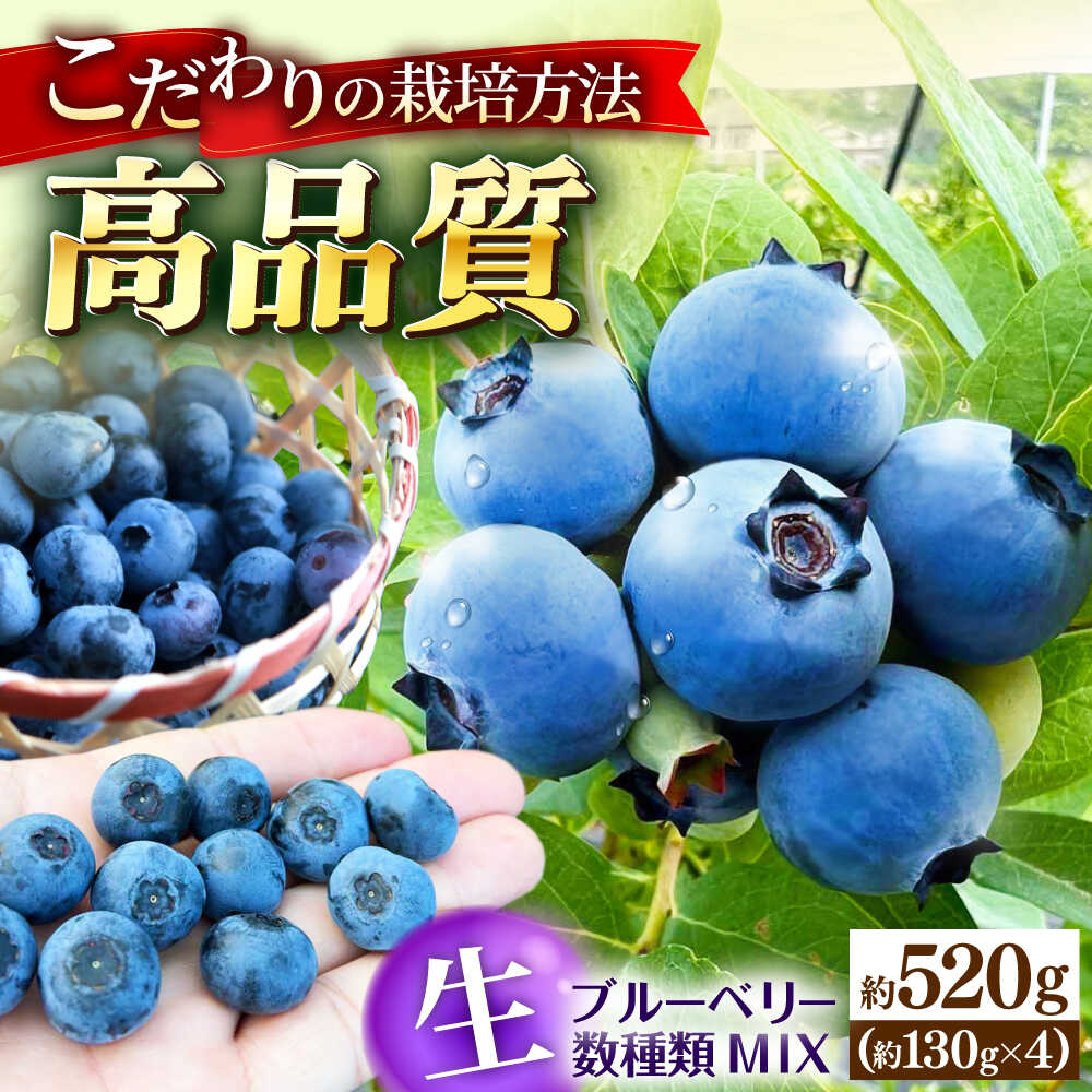 【ふるさと納税】【冷蔵】【6月中旬から7月下旬に順次発送】ブルーベリー 520g（130g×4パック） 生ブルーベリー ミックスベリー ブルーベリー 三次市/小川モータース[APCH010]